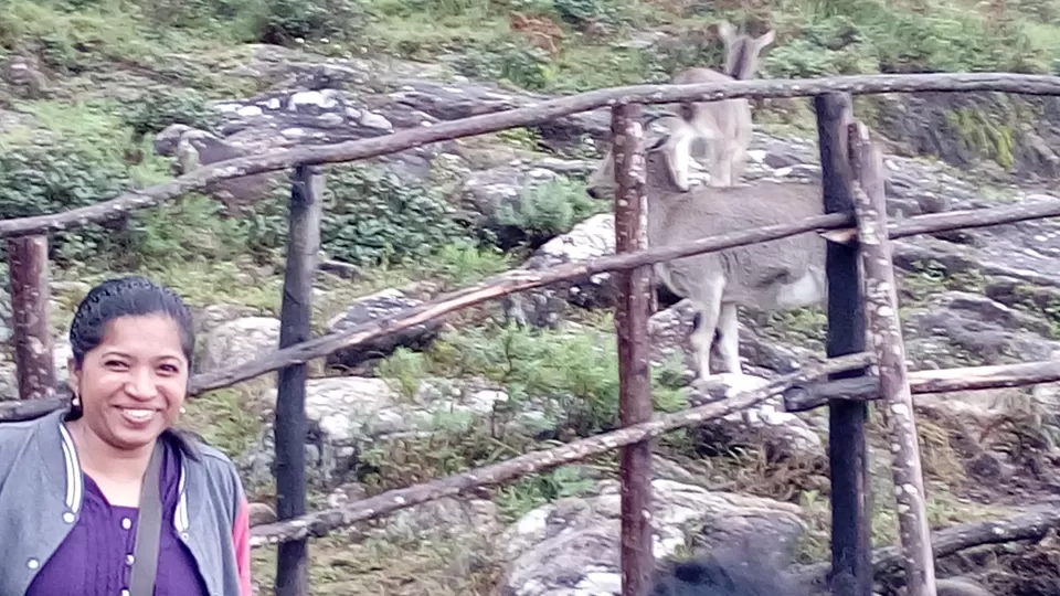 Photo of Eravikulam National Park. Munnar. Kerala, Munnar, Kerala, India by Sonali Panagale