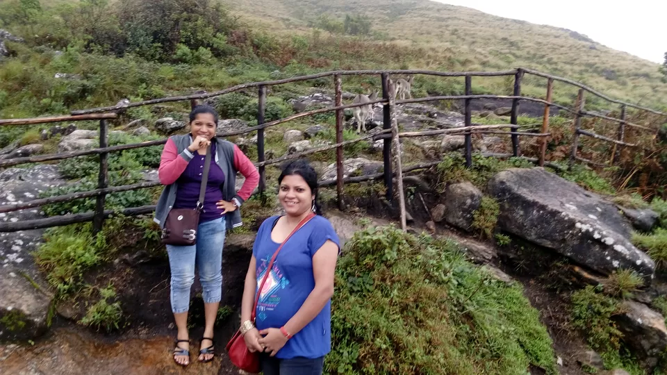 Photo of Eravikulam National Park. Munnar. Kerala, Munnar, Kerala, India by Sonali Panagale