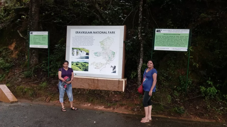 Photo of Eravikulam National Park. Munnar. Kerala, Munnar, Kerala, India by Sonali Panagale
