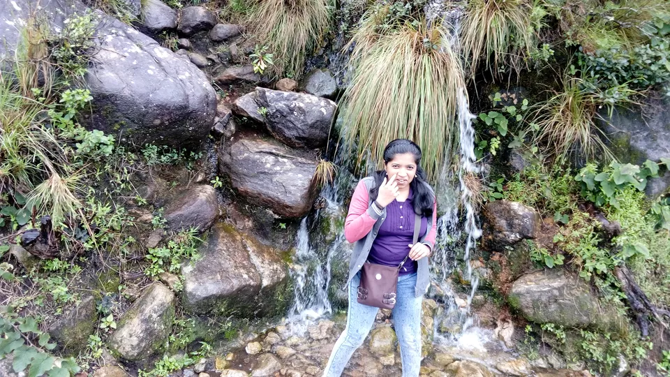 Photo of Eravikulam National Park. Munnar. Kerala, Munnar, Kerala, India by Sonali Panagale