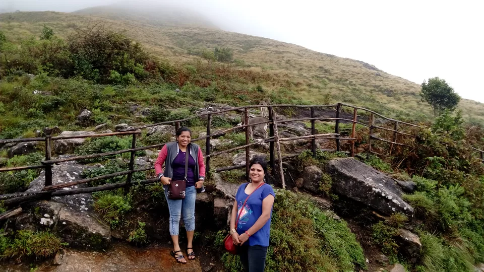 Photo of Eravikulam National Park. Munnar. Kerala, Munnar, Kerala, India by Sonali Panagale