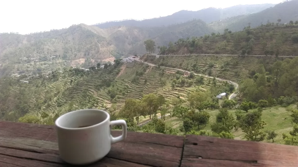 Photo of How to curate a wonderful hill trip for children by Urmi D