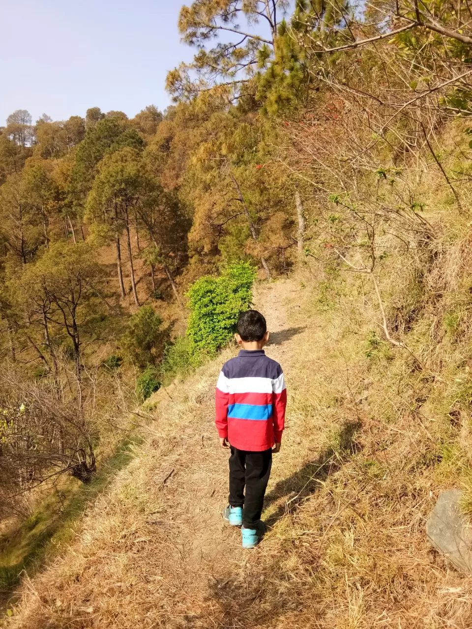 Photo of How to curate a wonderful hill trip for children by Urmi D