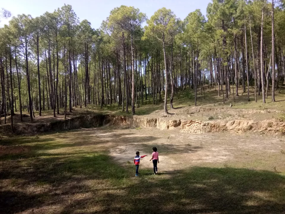 Photo of How to curate a wonderful hill trip for children by Urmi D