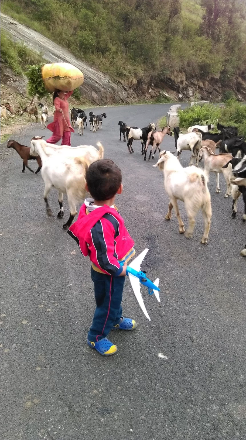 Photo of How to curate a wonderful hill trip for children by Urmi D