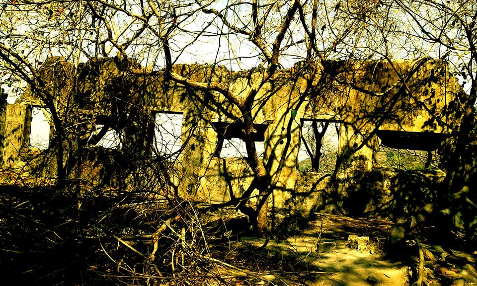 Photo of The Elephanta Island & Cannon Hill 4/15 by Malab