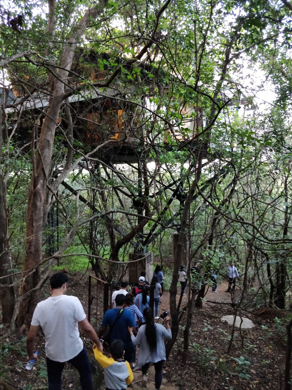 Photo of Live your childhood dreams at this Treehouse hideaway near Mumbai. by #KPraj