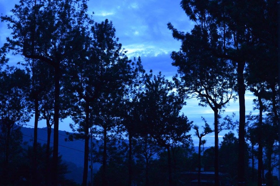 Photo of A dream called Munnar 5/7 by #KPraj