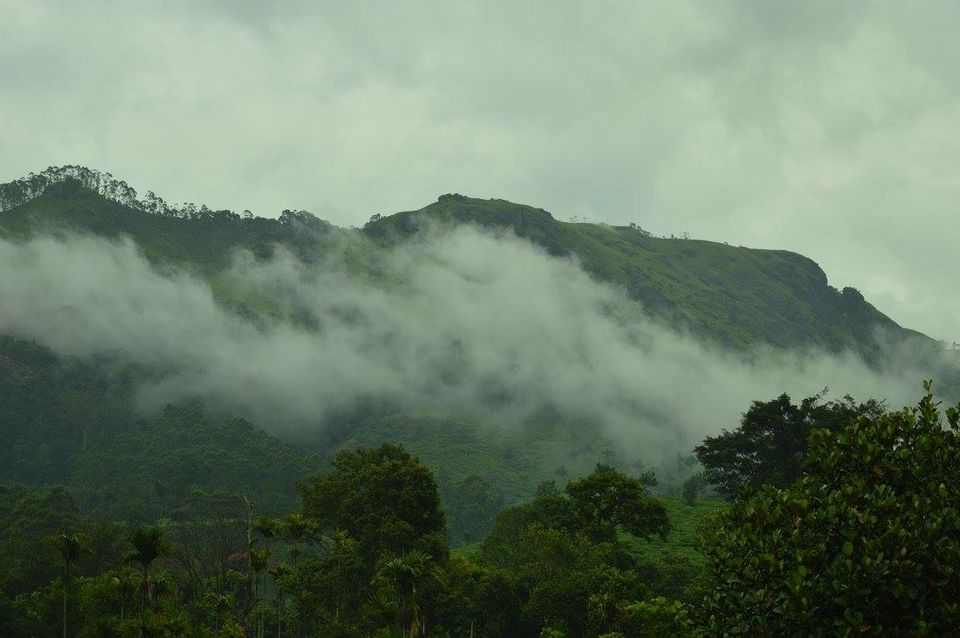 Photo of A dream called Munnar 3/7 by #KPraj