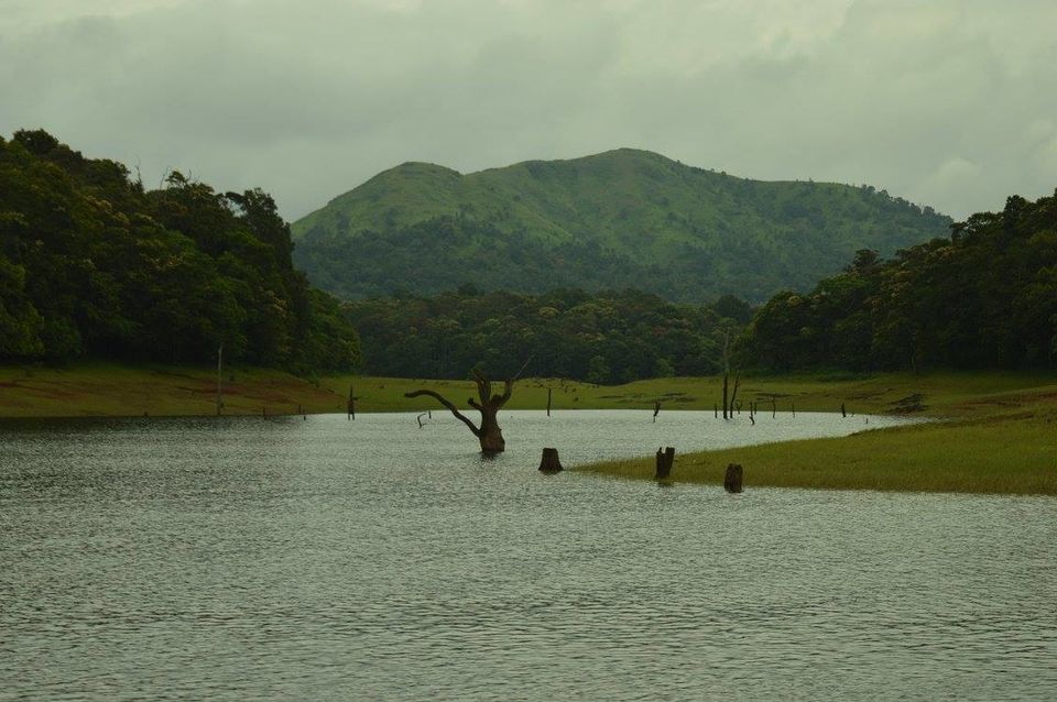 Photo of A dream called Munnar 7/7 by #KPraj