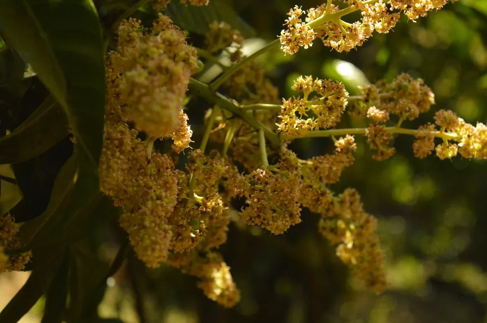 Photo of Guhagar, Guhagar, Maharashtra 415703, India by #KPraj