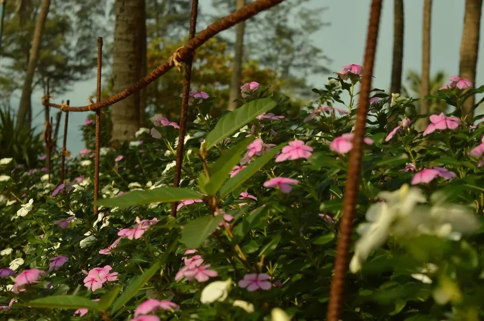 Photo of Ganpati Pule, Ganpati Pule, Maharashtra 415615, India by #KPraj