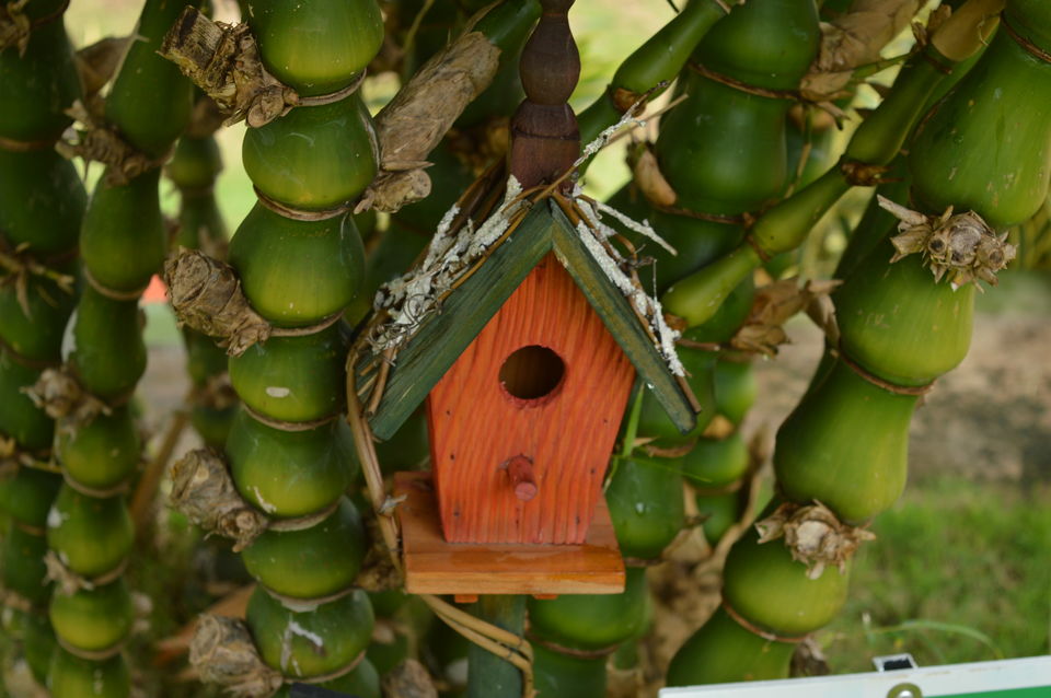 Photo of A home away from home .... Harvest Fresh Farms , Theni district , Tamil Nadu 2/9 by #KPraj