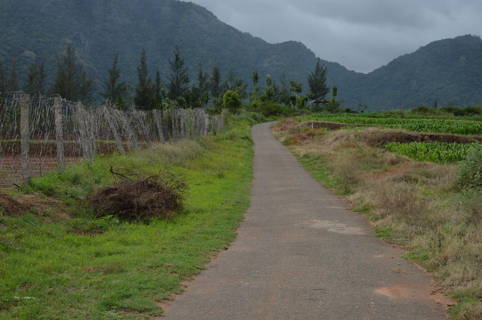 Photo of A home away from home .... Harvest Fresh Farms , Theni district , Tamil Nadu 9/9 by #KPraj