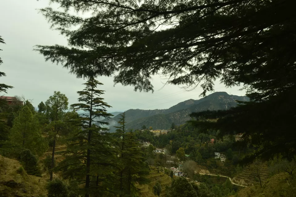 Photo of Ramgarh, Uttarakhand, India by #KPraj