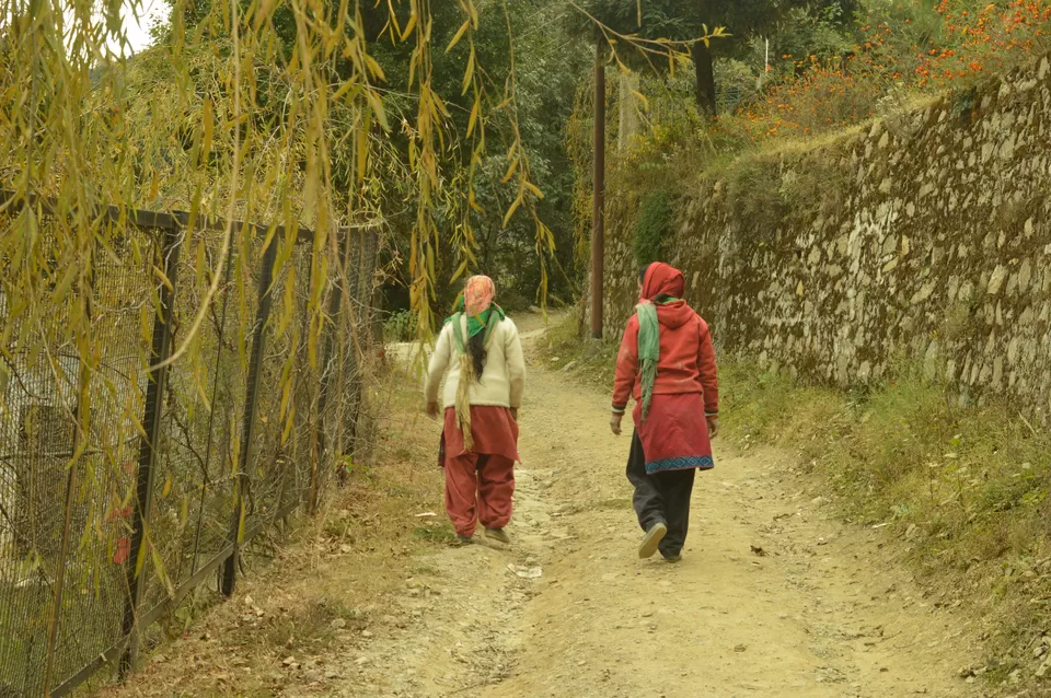 Photo of Ramgarh, Uttarakhand, India by #KPraj