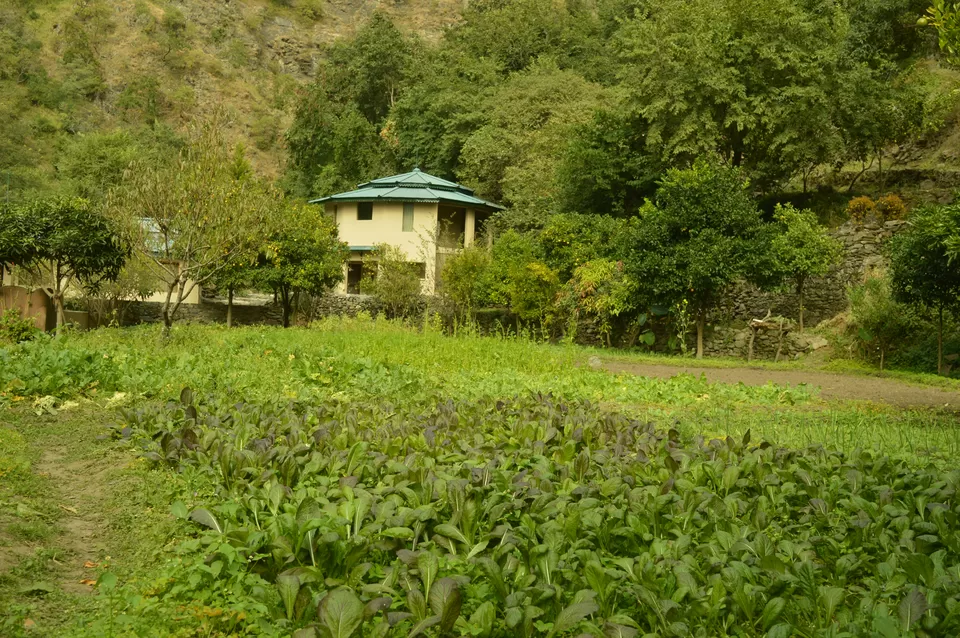 Photo of Ramgarh, Uttarakhand, India by #KPraj