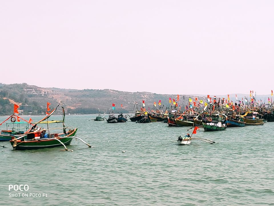 Photo of Lure of the seashore by Sonal Patel Dsouza
