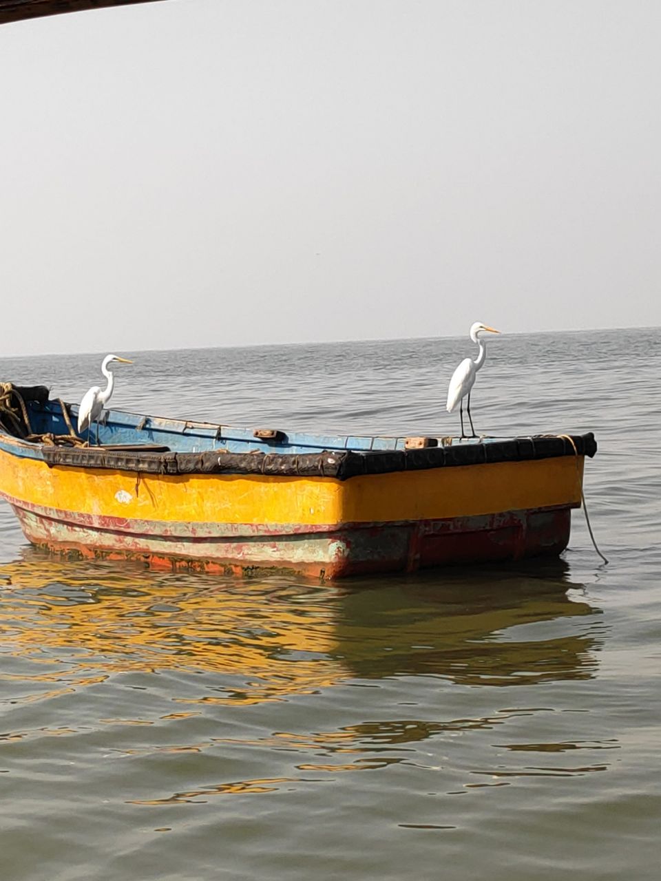 Photo of Lure of the seashore by Sonal Patel Dsouza