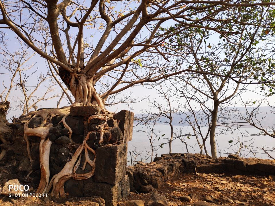 Photo of Lure of the seashore by Sonal Patel Dsouza