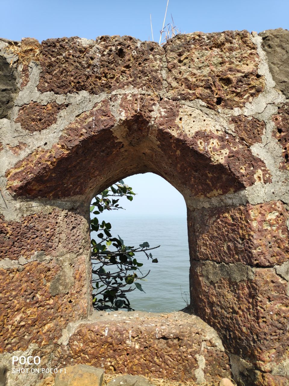 Photo of Lure of the seashore by Sonal Patel Dsouza