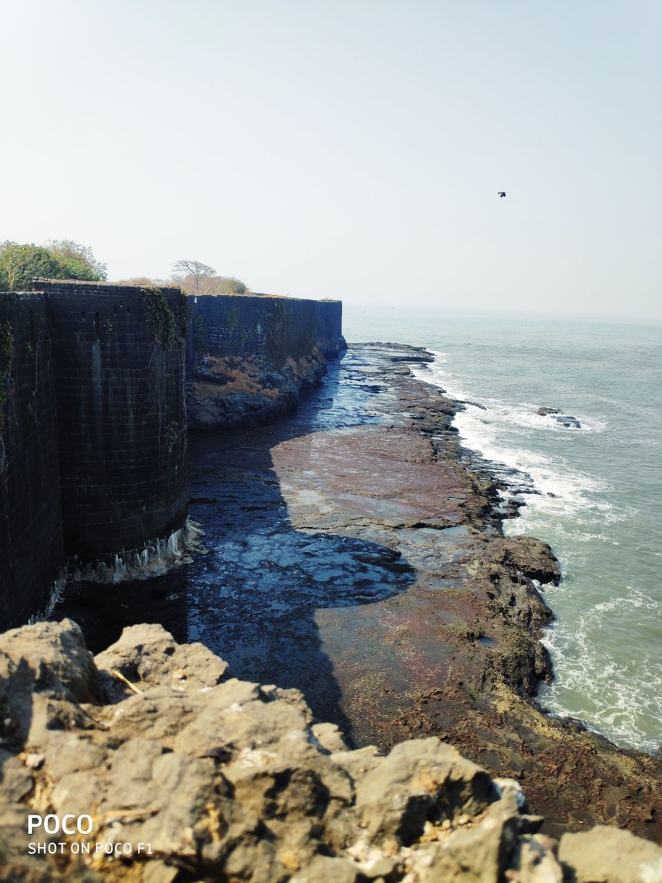 Photo of Lure of the seashore by Sonal Patel Dsouza