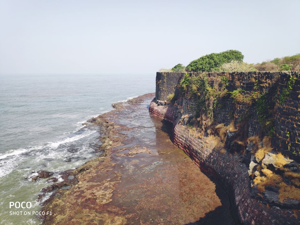 Photo of Lure of the seashore by Sonal Patel Dsouza
