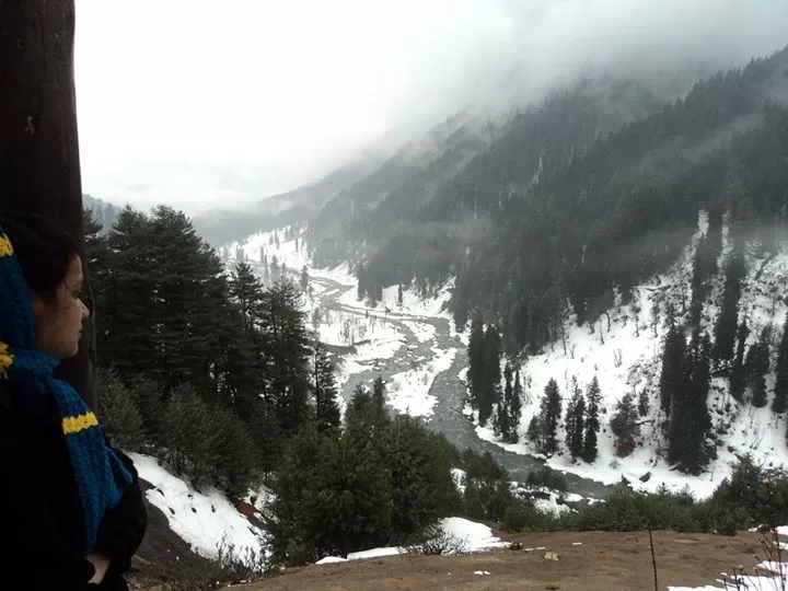 Photo of Jammu and Kashmir by Sonal Patel Dsouza