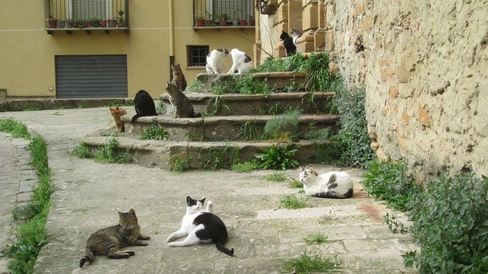 Photo of A brief photographic journey through Sicily 11/14 by Manasi Joshi