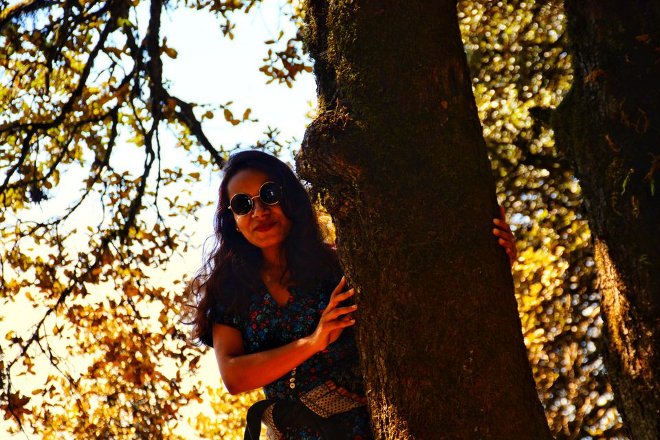 Photo of 3 Days in Himachal (Jibhi - Jalori - Tirthan) 11/48 by shilpi3005