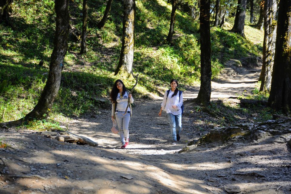 Photo of 3 Days in Himachal (Jibhi - Jalori - Tirthan) 22/48 by shilpi3005
