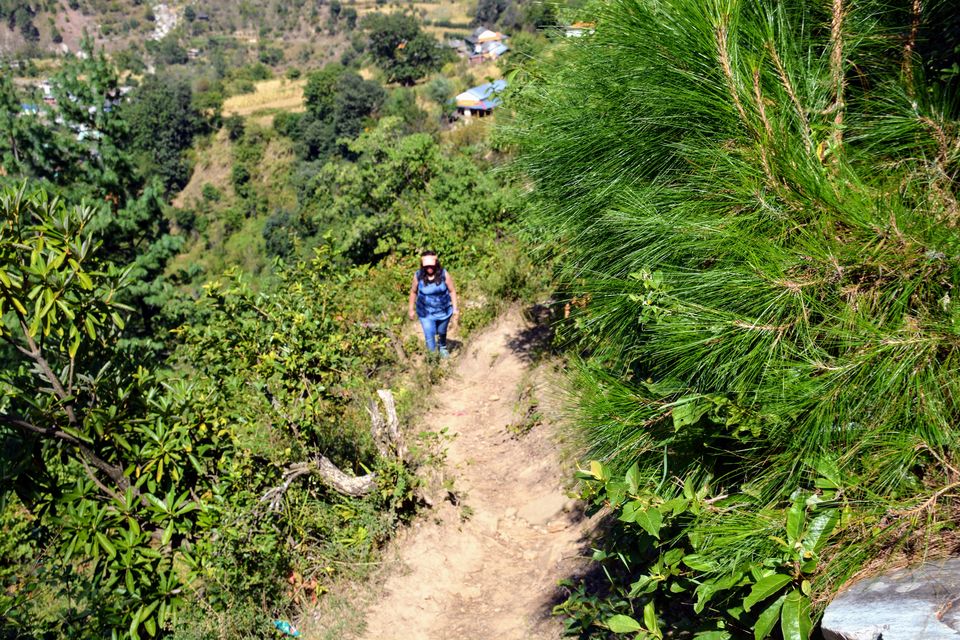 Photo of 3 Days in Himachal (Jibhi - Jalori - Tirthan) 31/48 by shilpi3005