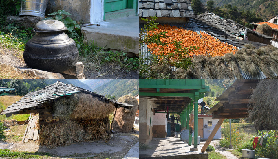 Photo of 3 Days in Himachal (Jibhi - Jalori - Tirthan) 32/48 by shilpi3005