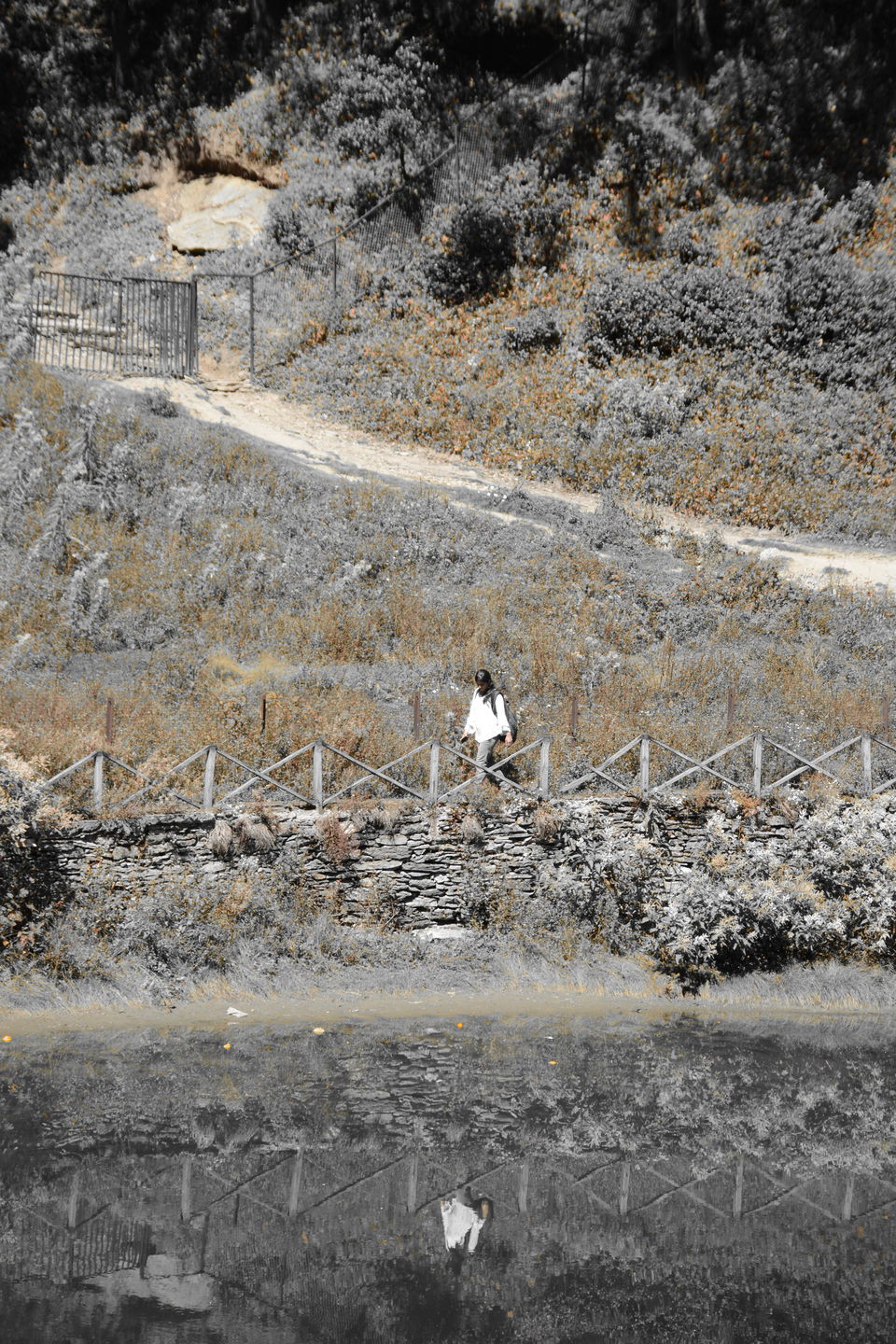 Photo of 3 Days in Himachal (Jibhi - Jalori - Tirthan) 43/48 by shilpi3005