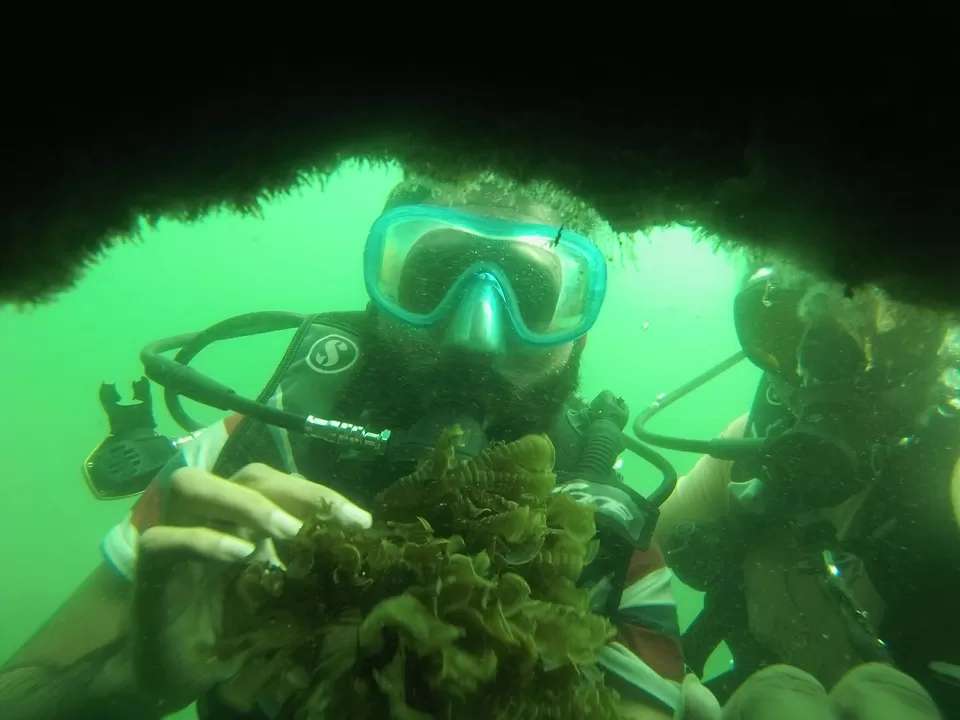 Photo of Scuba Suzy's Wreck Goa by Appu