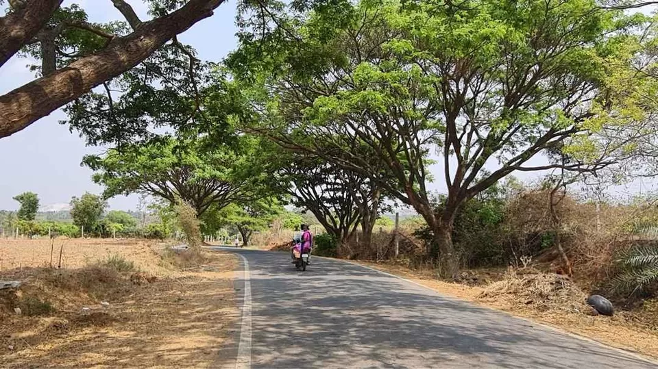 Photo of Devanahalli Fort: 500 Year Old Fort Near Bengaluru International Airport by Diya Travel Blogger