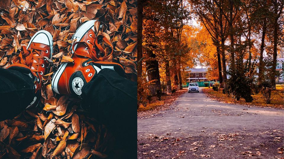 Photo of This Autum, Head To These 5 Breathtaking Places In Kashmir For A Mystical Experience by Nargis Farheena