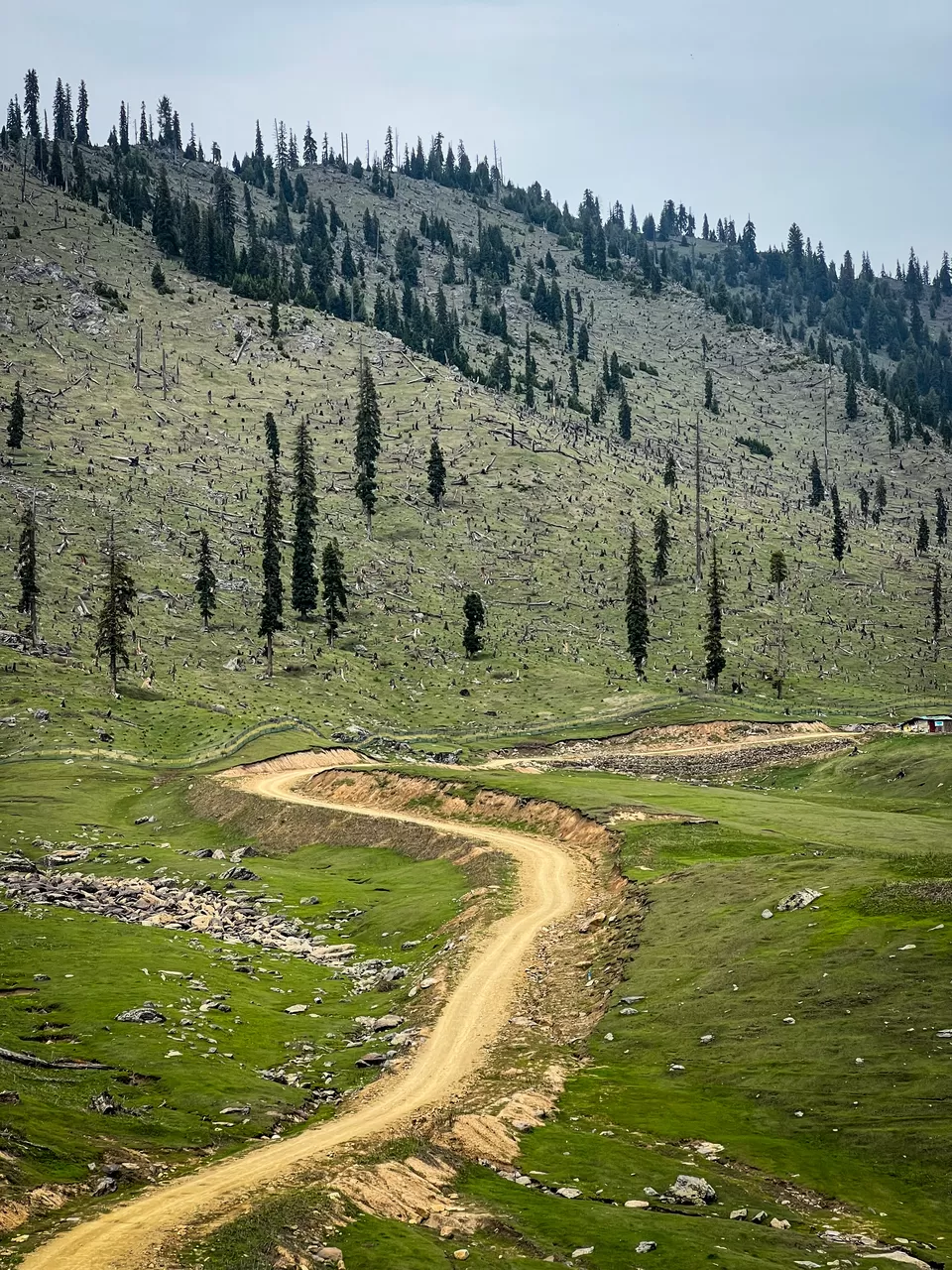 Photo of Tosamaidan توسہ میدان By Nargis Farheena 