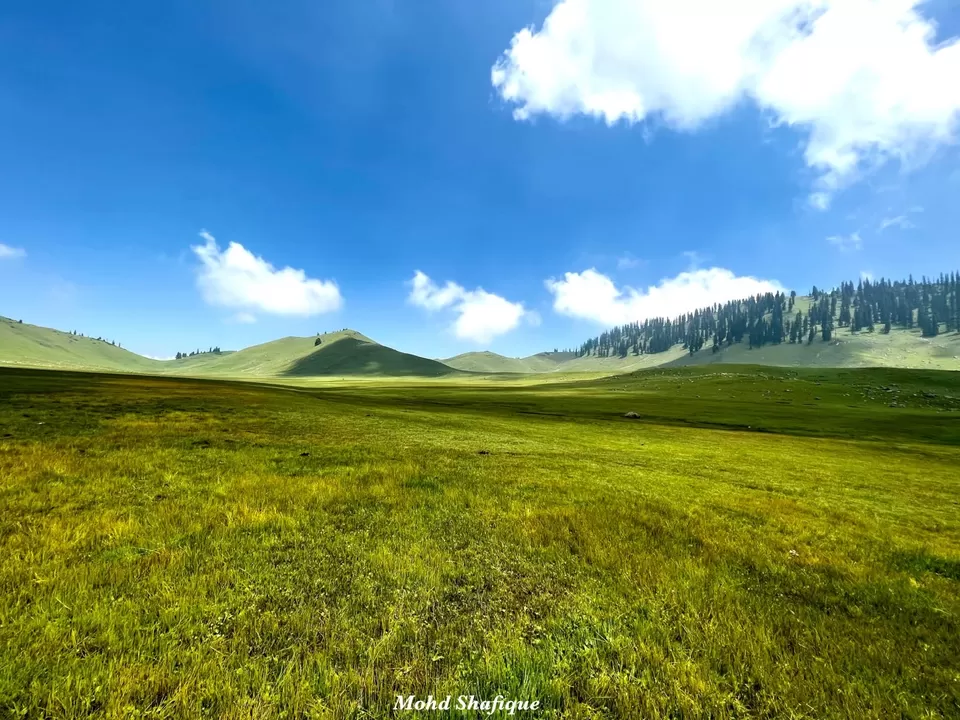 Photo of Tosamaidan توسہ میدان, Tosamaidan, Chere Haroo, Jammu and Kashmir by Nargis Farheena 