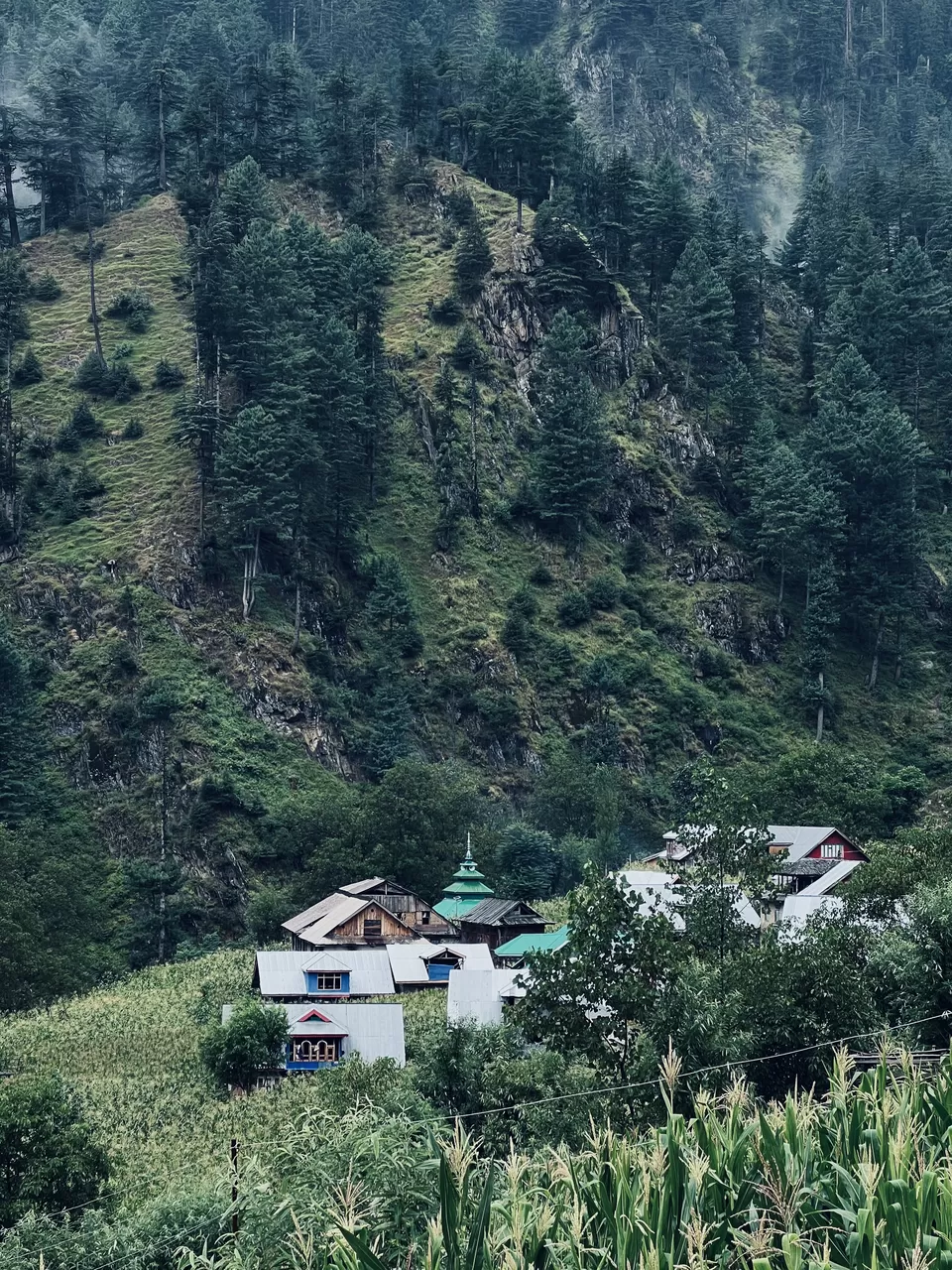 Photo of Wildlife sanctuary limber baramulla By Nargis Farheena 