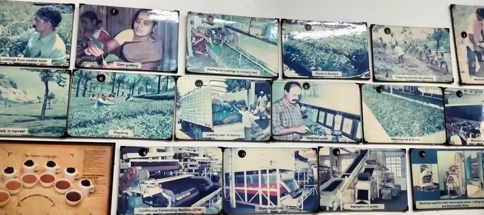 Photo of Tea Museum By Sai Krishna