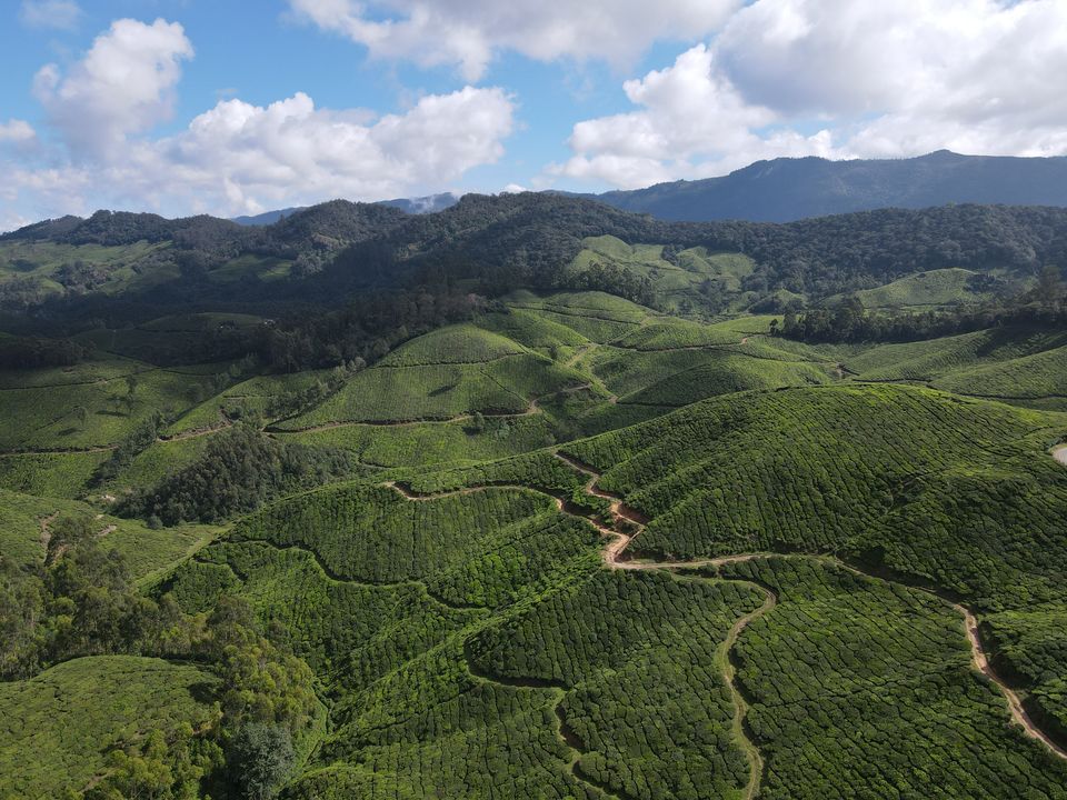 Photo of 4 Days Trip to Magical Munnar by Saikat Das