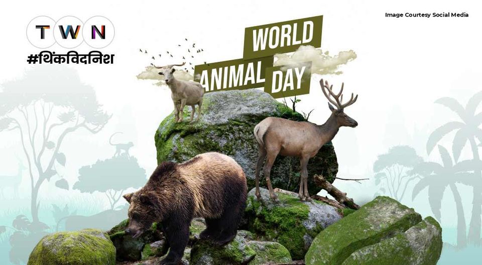 Photo of World Animal Day 2022: जानिये इस दिन का इतिहास और महत्व by Think With Niche