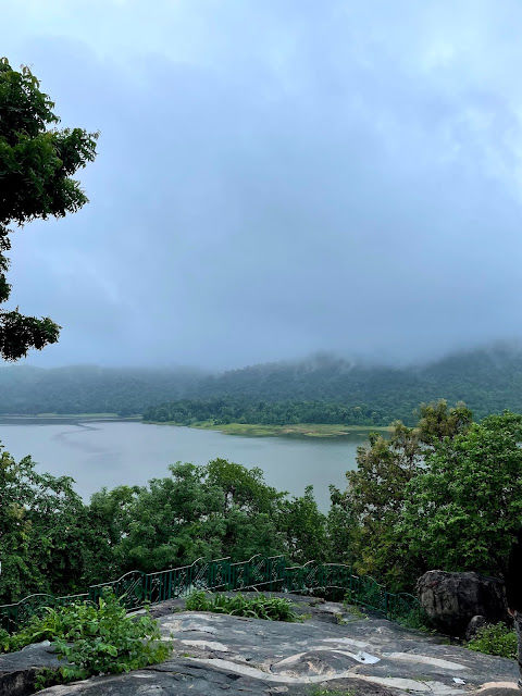 Photo of Ratanmahal - Sloth Bear Sanctuary 1/6 by Mansi Akaveeya