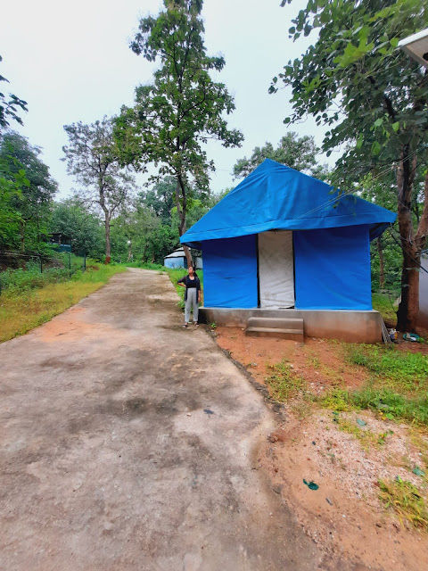 Photo of Ratanmahal - Sloth Bear Sanctuary 3/6 by Mansi Akaveeya