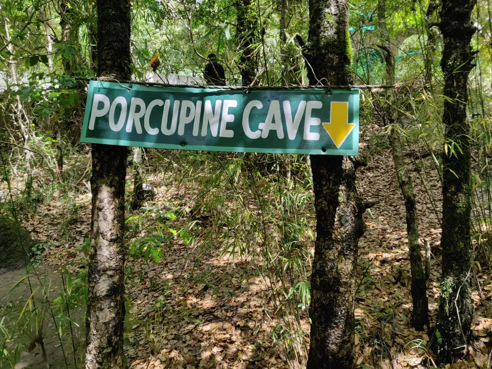 Photo of अगर आपको गुफाओं का रोमांचक सफ़र करना है तो यहां जरूर जाए by Nikhil Bhati