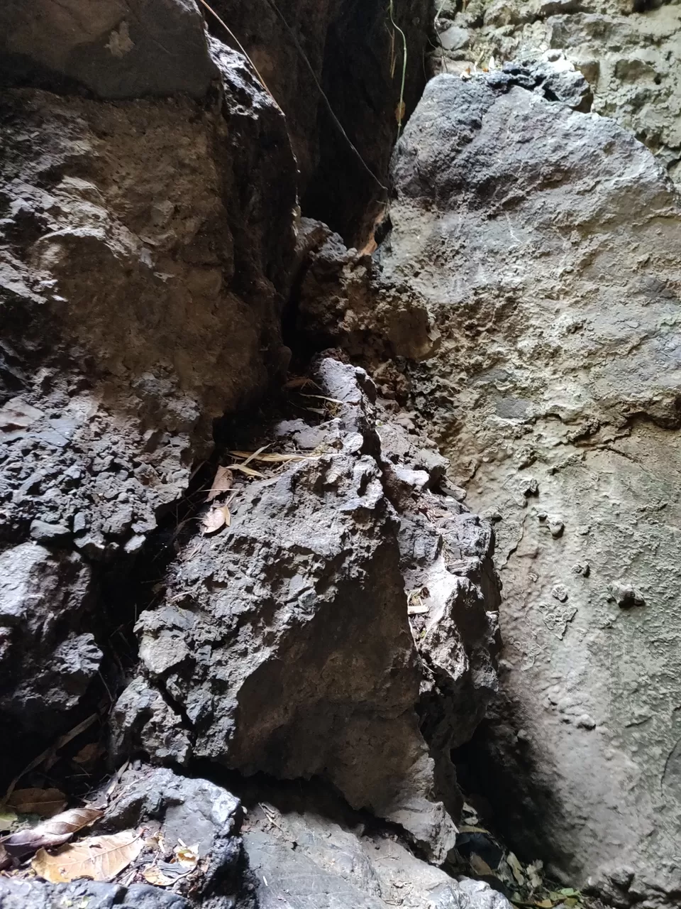 Photo of अगर आपको गुफाओं का रोमांचक सफ़र करना है तो यहां जरूर जाए by Nikhil Bhati