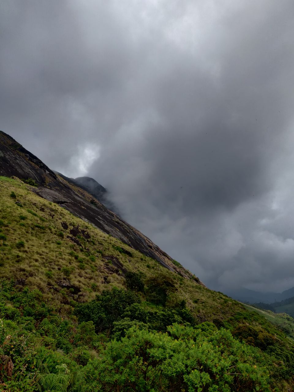 Photo of अगर आप मुन्नार घूमने जा रहे है तो इस बेहतरीन जगह पर जरूर जाए by Nikhil Bhati
