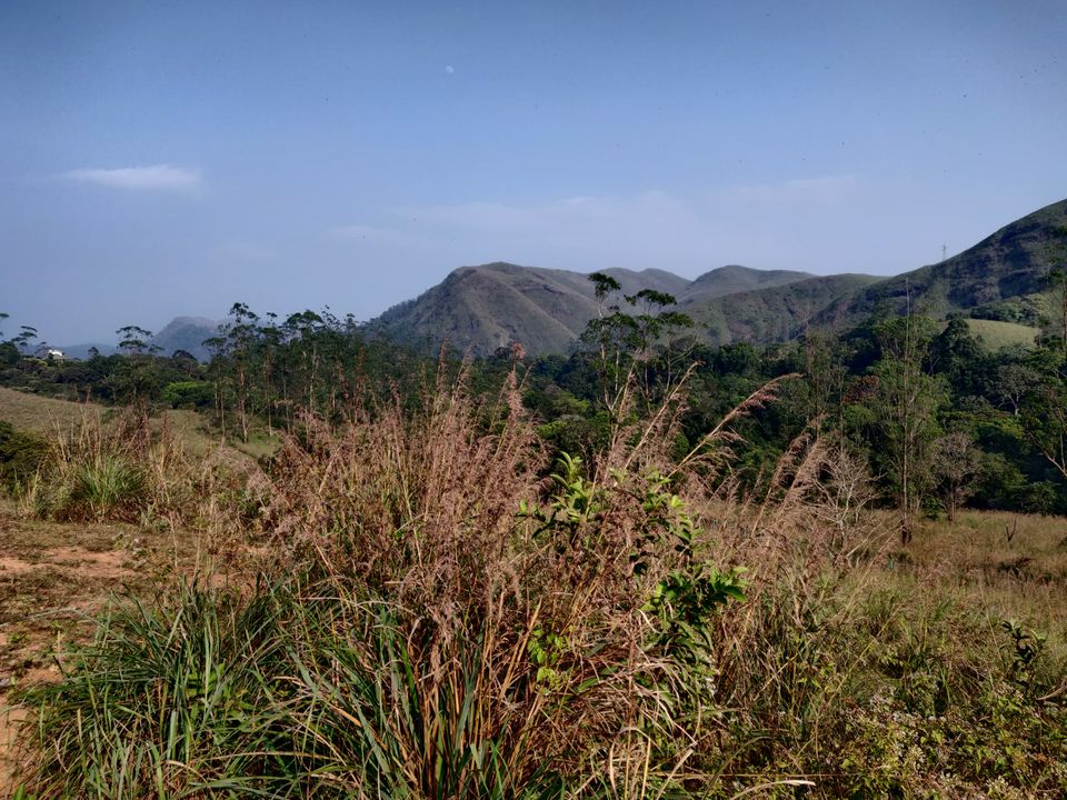 Photo of हरे-भरे घास के मैदानों की सैर करवाती है थेक्कडी की अद्भुत जीप सफारी by Nikhil Bhati