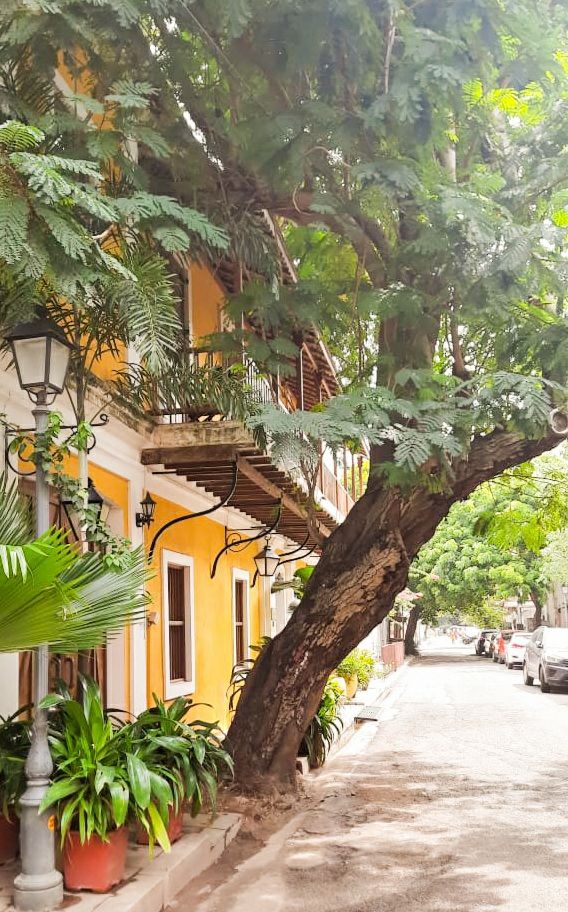 Photo of That time I escaped the city life - a trip to Aurovillie by Shruti Pardeshi